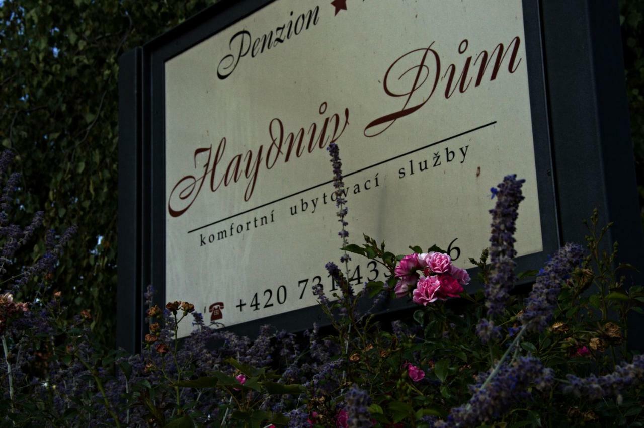 Penzion Haydnuv Dum Dolni Lukavice Экстерьер фото